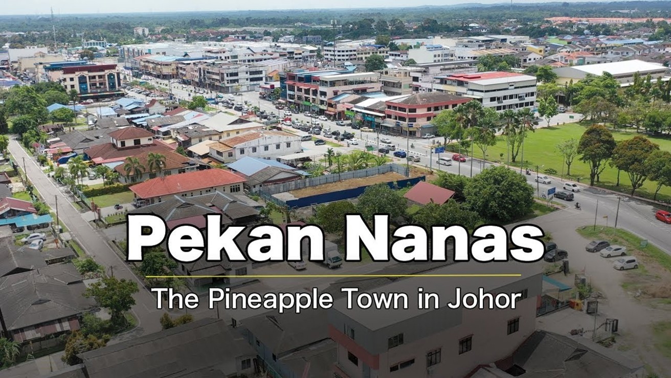 Pekan Nanas