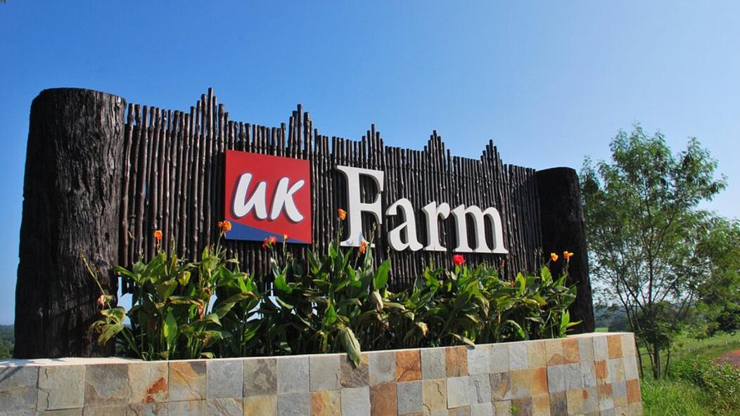 Kluang / Yong Peng / Batu Pahat