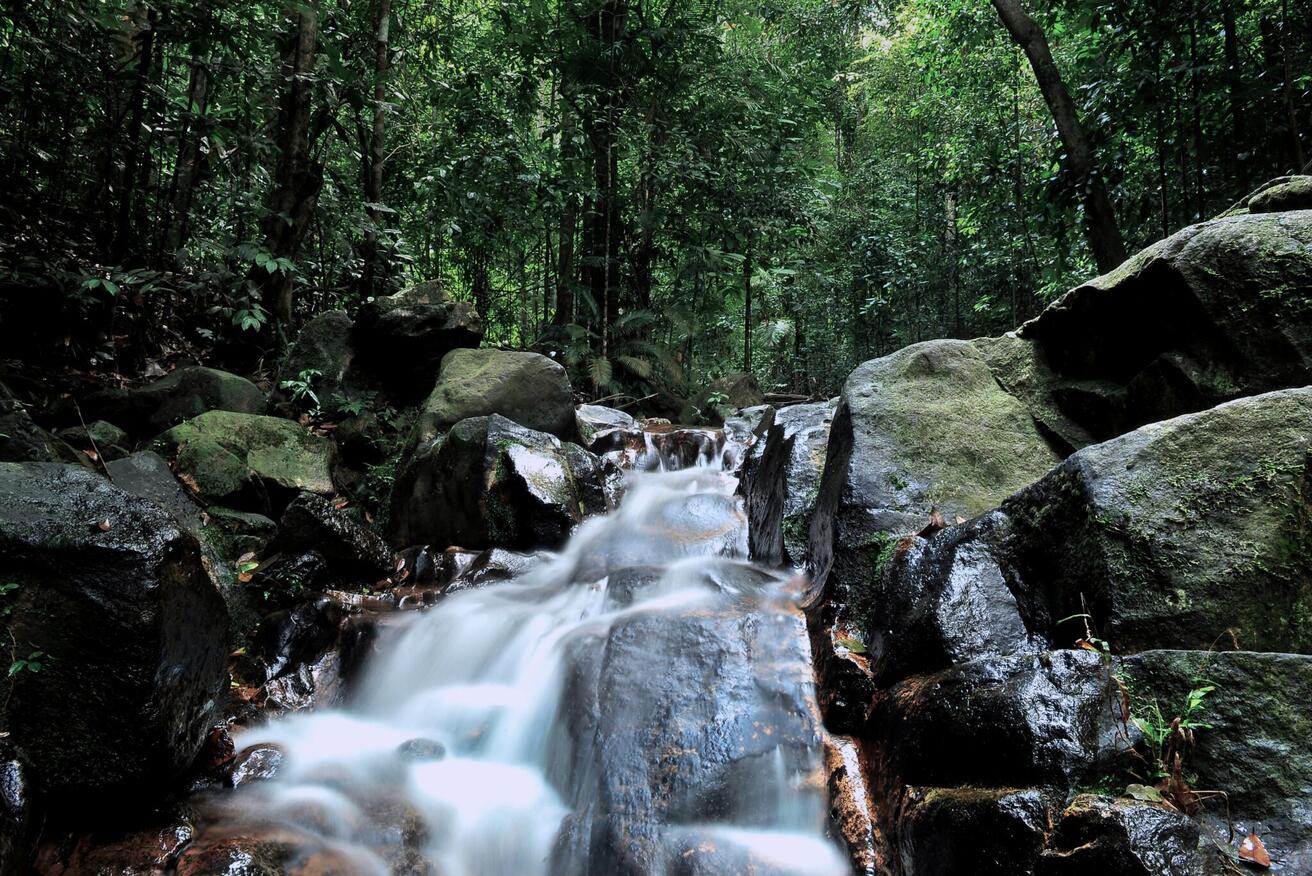 Kulai