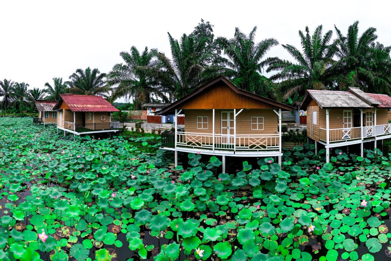Kulai