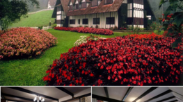Cameron Highlands / Ipoh / Perak