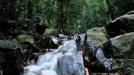 Kulai