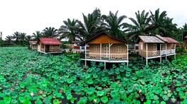 Kulai