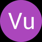 Vu Vuong