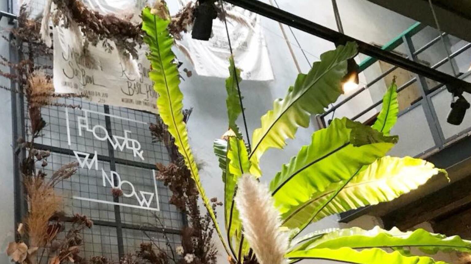 Cafe-hopping : Flowers in the Window