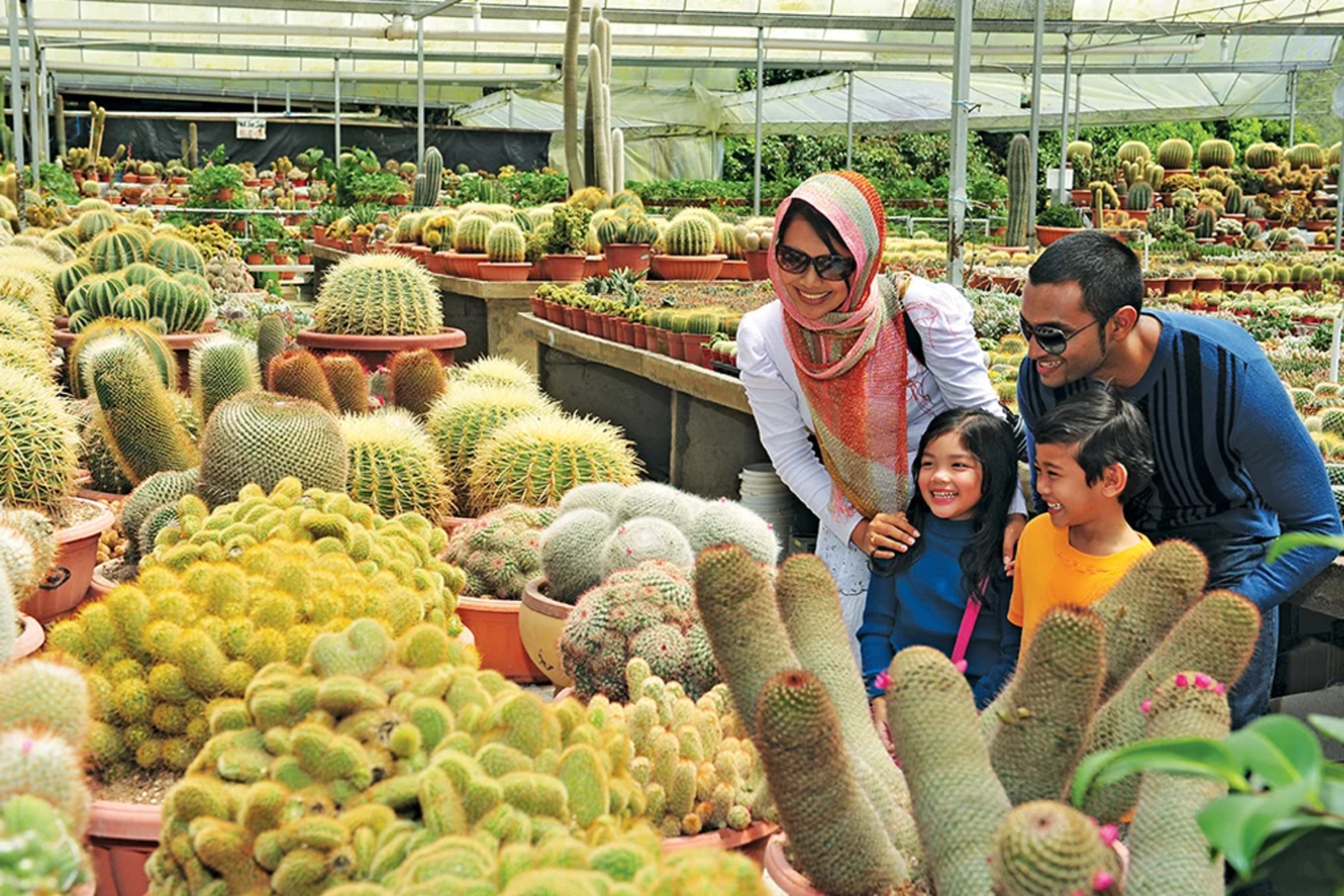 Cameron Highlands